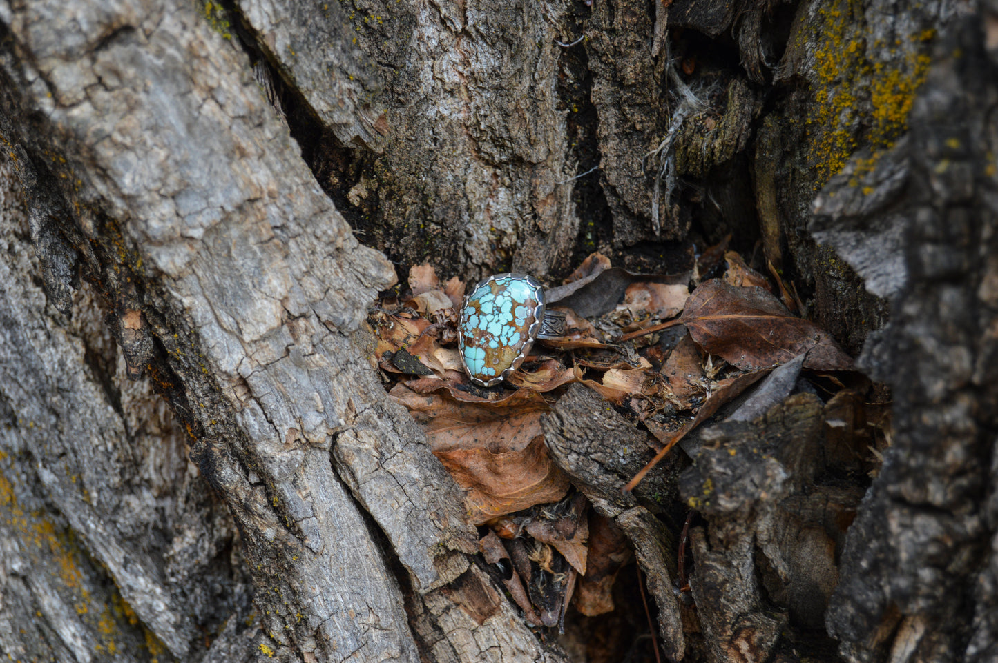 Adjustable Turquoise Ring with Engraved Band