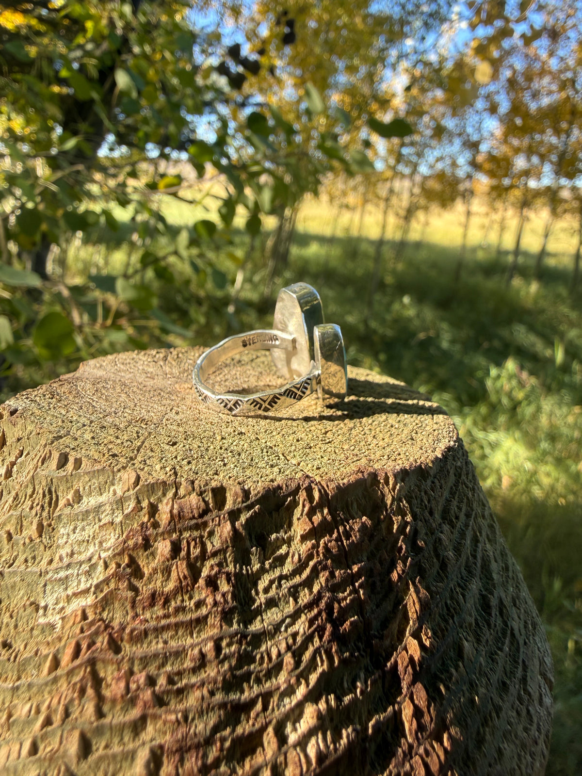 Bisbee Turquoise & Douglas Fir Sterling Ring