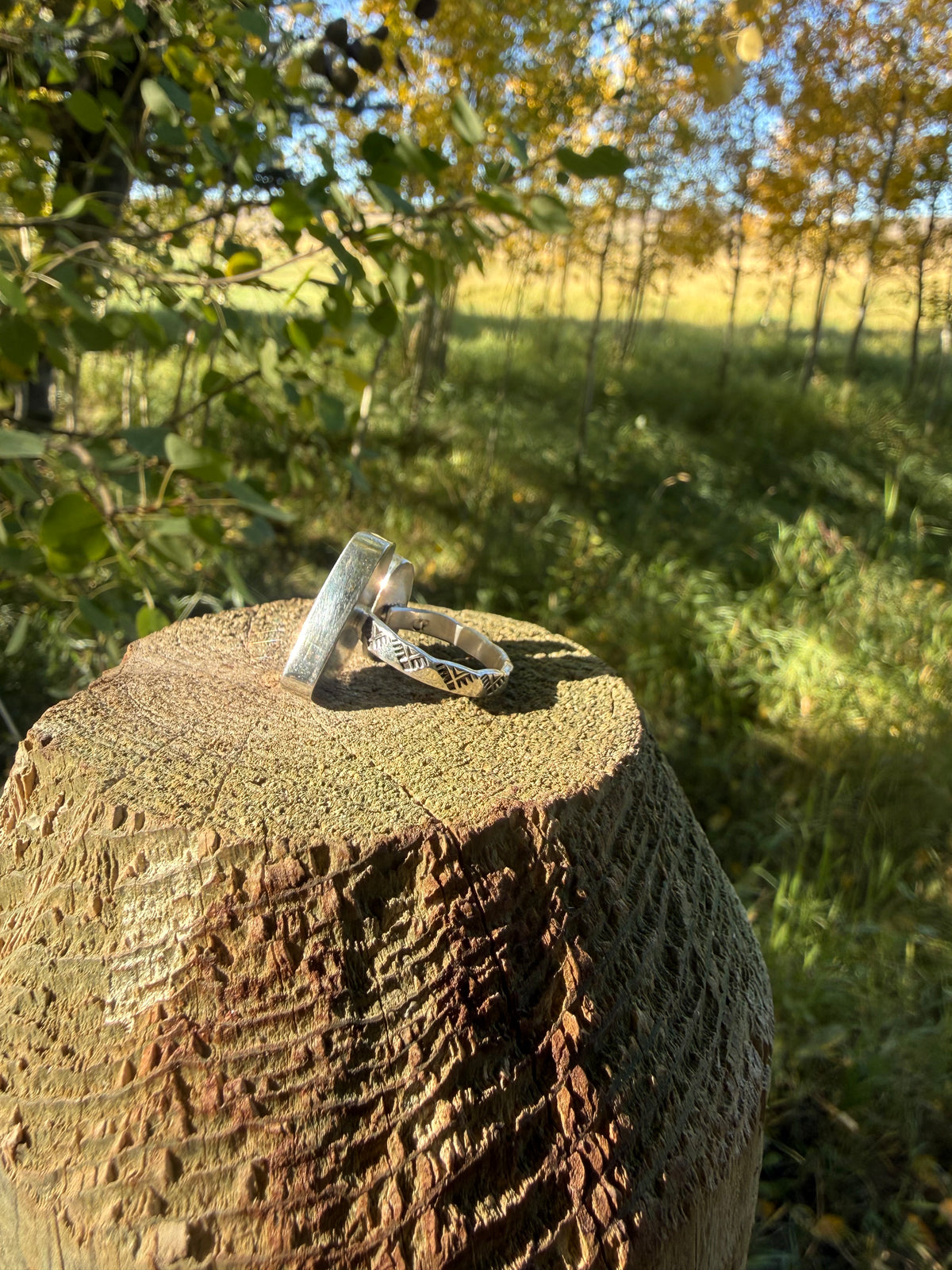 Bisbee Turquoise & Douglas Fir Sterling Ring