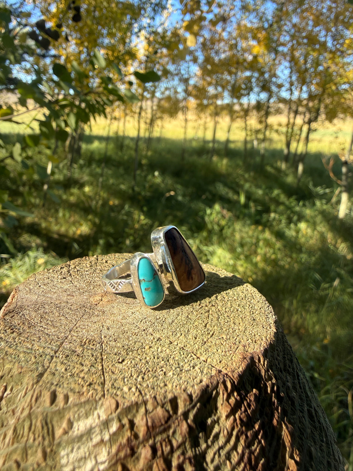 Bisbee Turquoise & Douglas Fir Sterling Ring