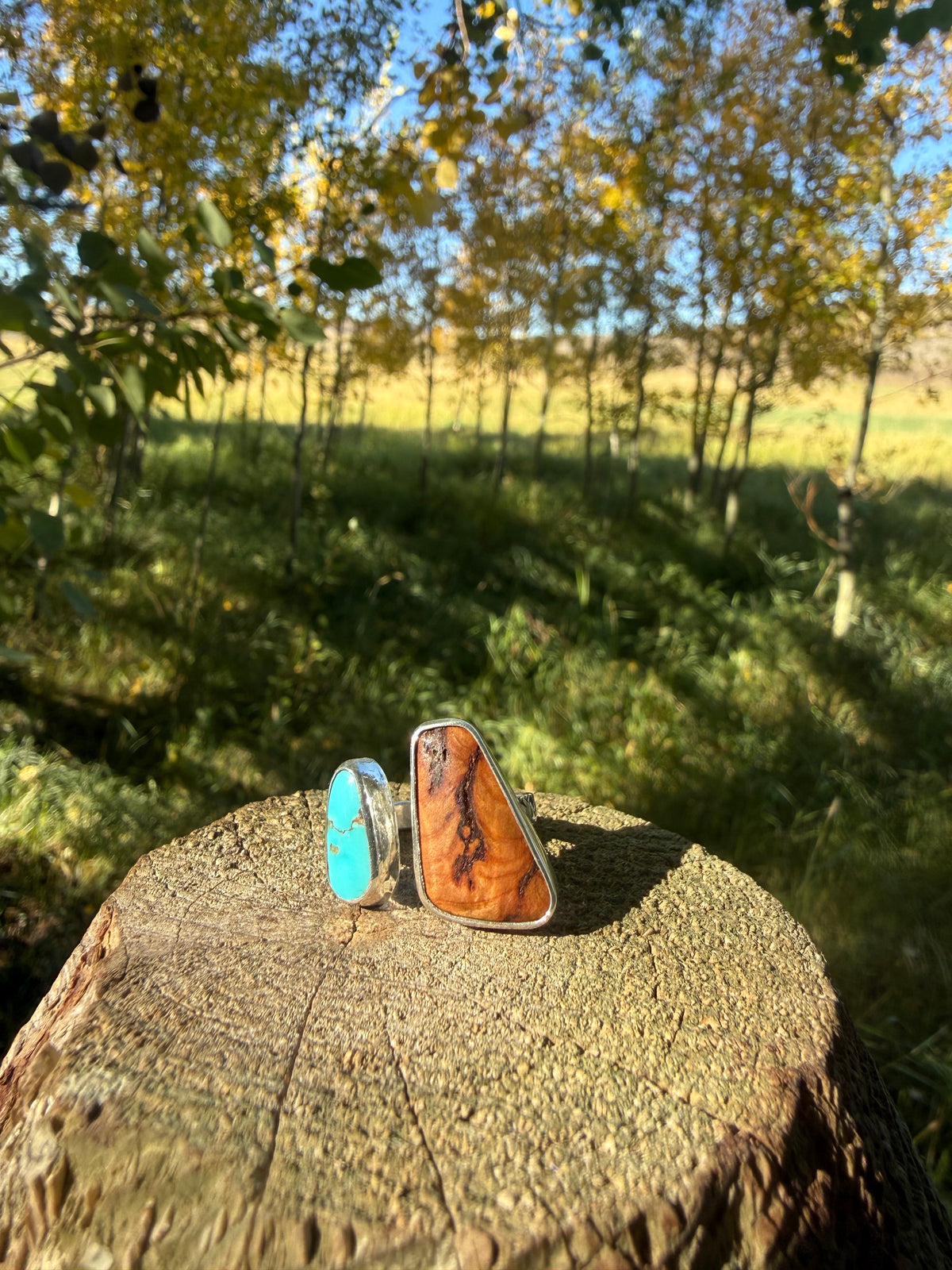 Bisbee Turquoise & Douglas Fir Sterling Ring