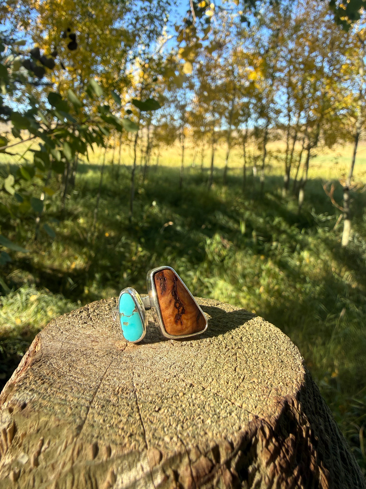 Bisbee Turquoise & Douglas Fir Sterling Ring