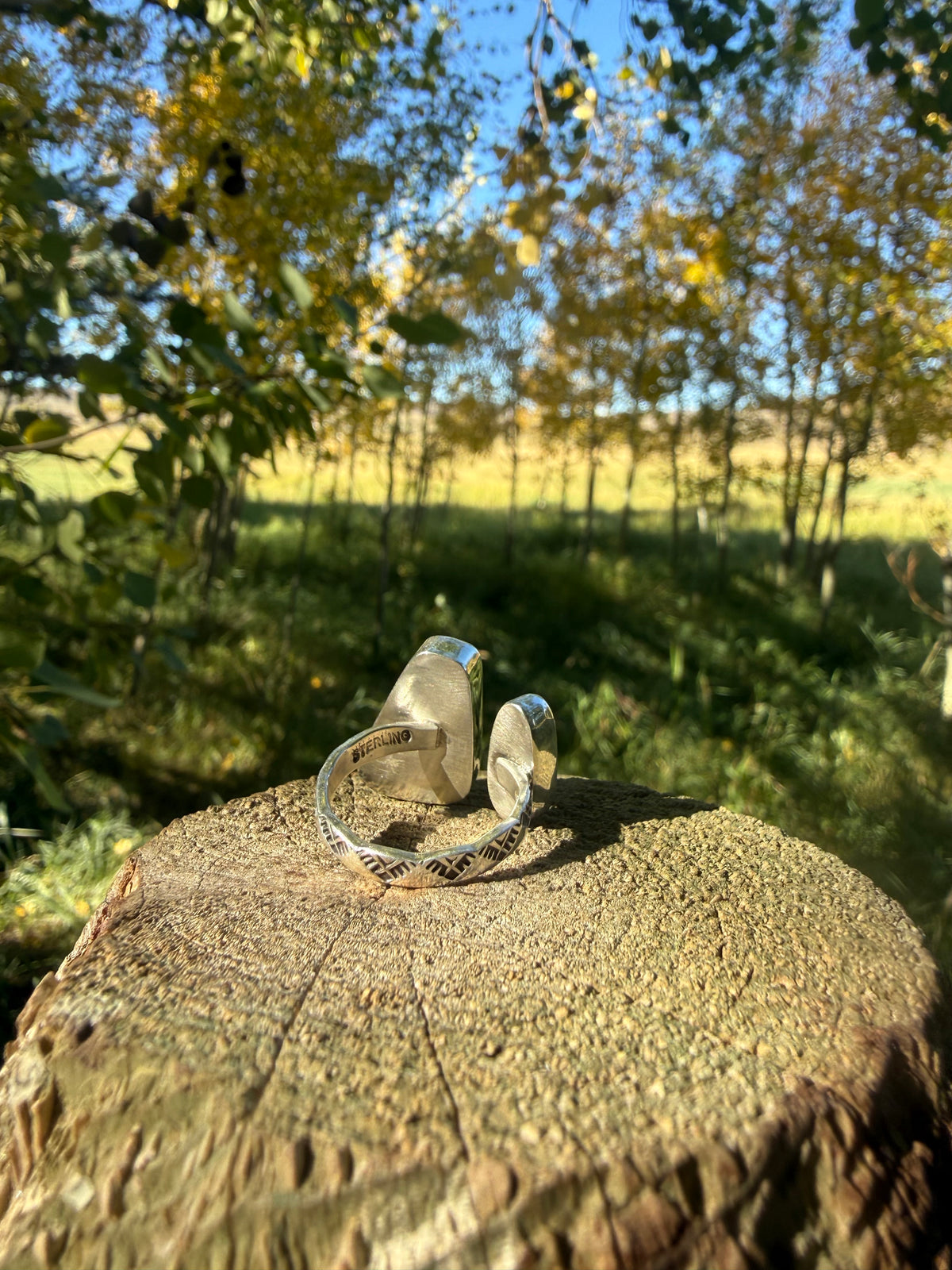 Bisbee Turquoise & Douglas Fir Sterling Ring