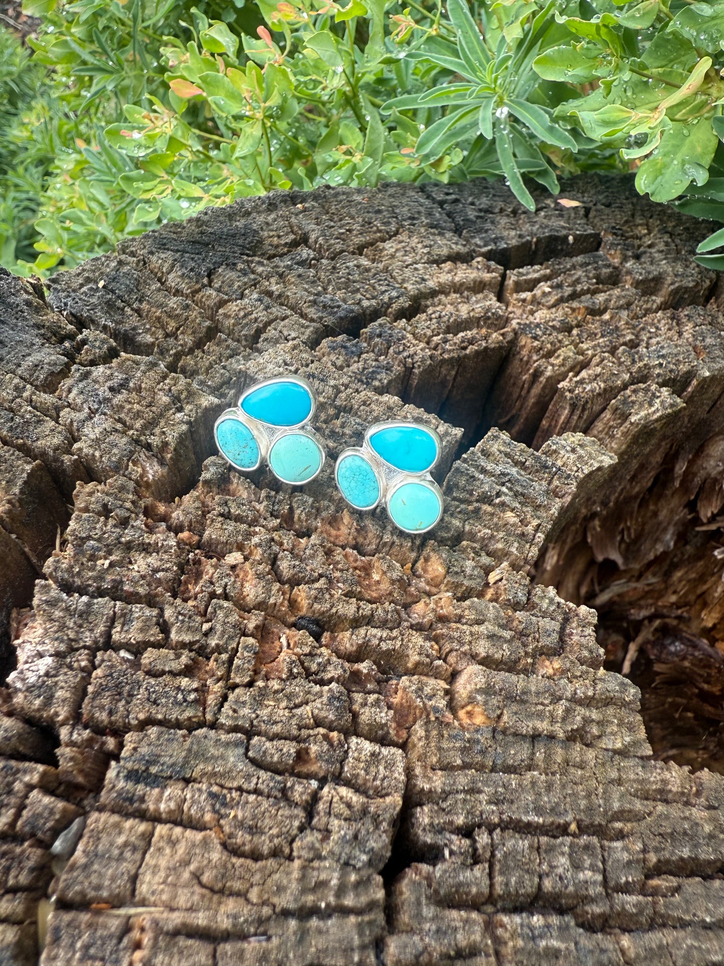 Sonoran Gem Cluster Studs