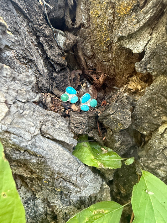 Sonoran Gem Cluster Studs #2