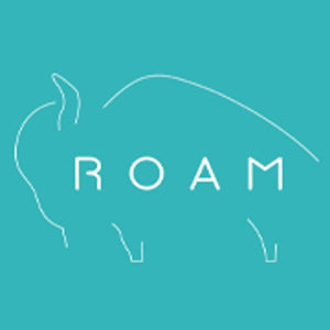 ROAM Silver